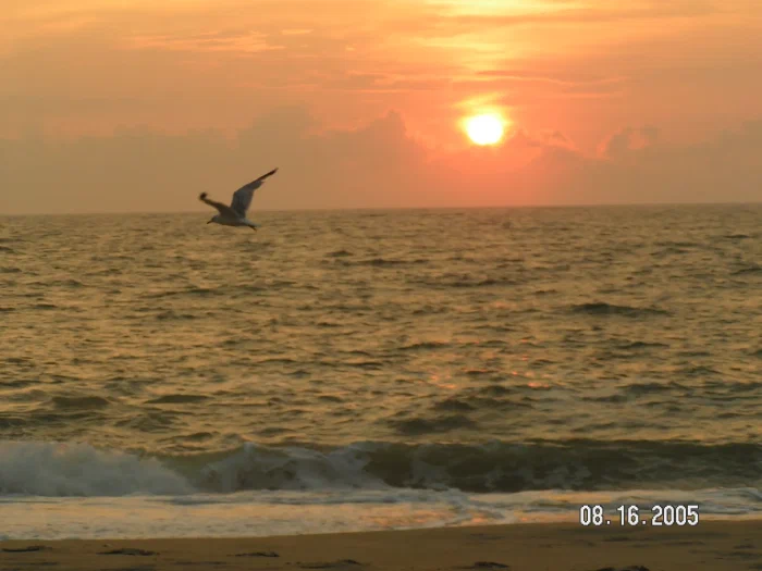 Dewey Beach 8-05.webp