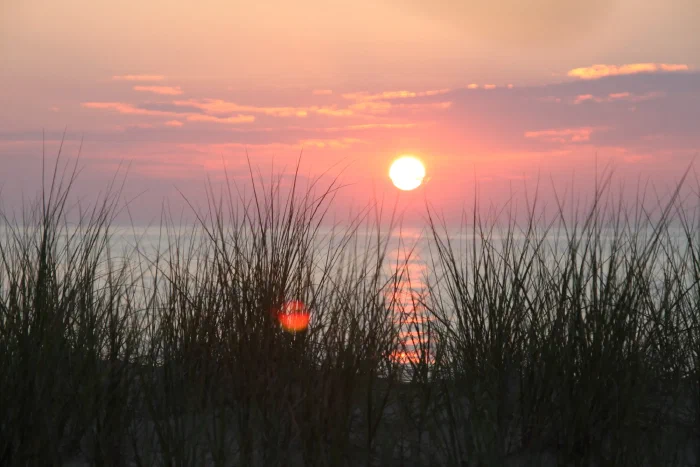 IMG_0711.webp