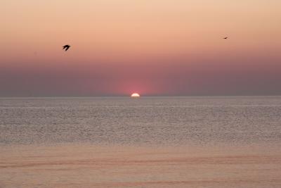 IMG_0923.jpg