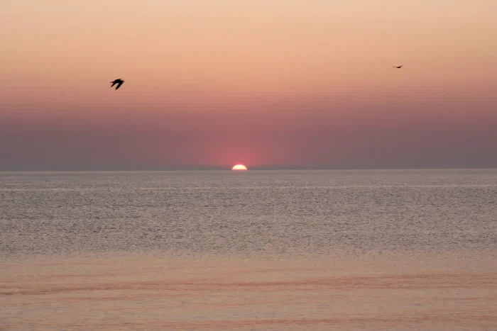 IMG_0923.webp