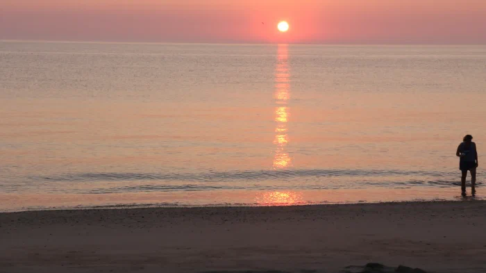 IMG_0947.webp