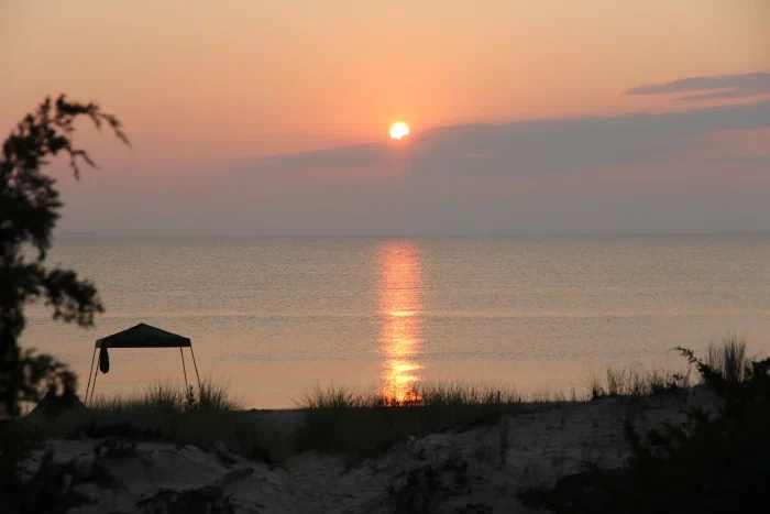 IMG_1289.webp