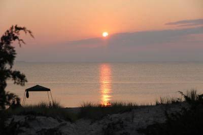 IMG_1289.jpg
