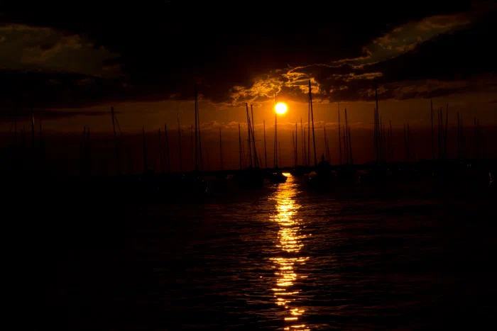 IMG_3817.webp