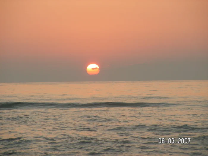 PICT2225.webp