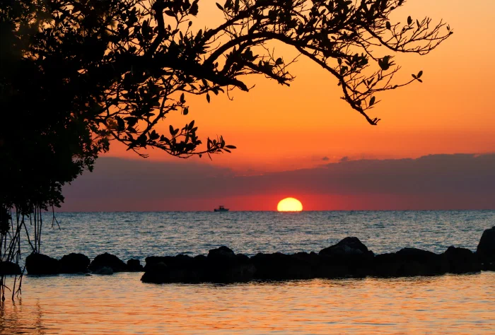 Sunrise 3-12-2025.webp