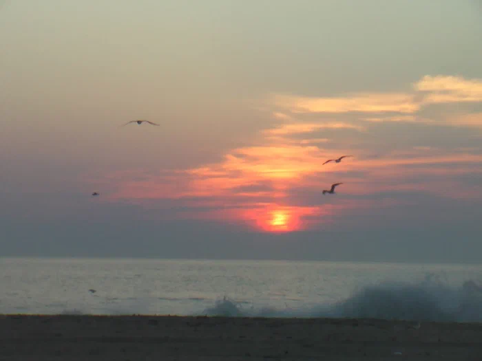 Sunrise 8-18-05 029.webp