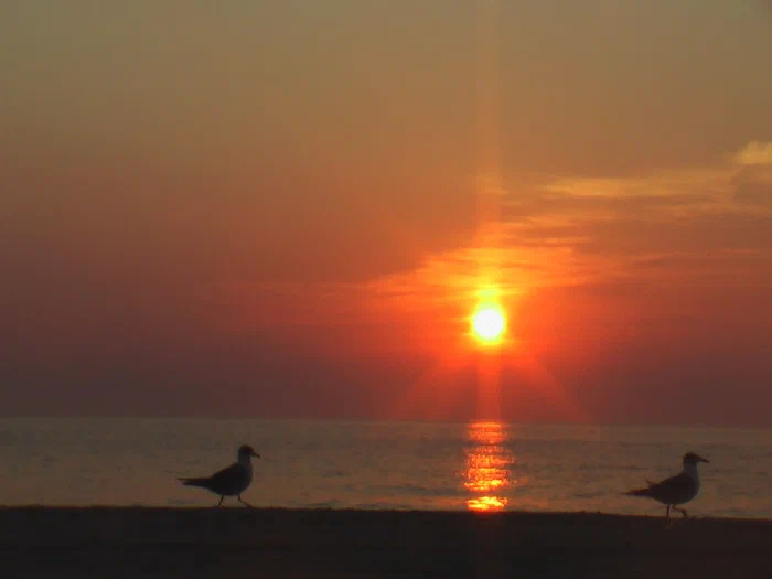 Sunrise 8-18-05 068.webp