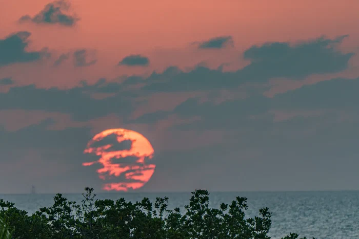 _AR51173.webp