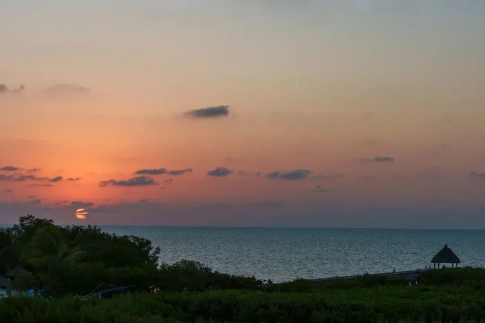 _AR51184.webp