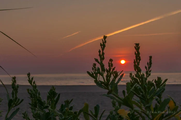 _MG_1911.webp