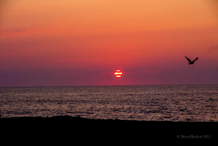 _MG_2167.webp