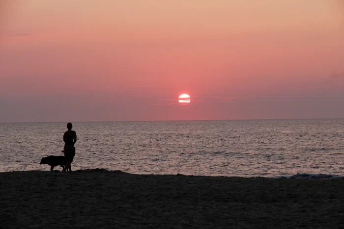 _MG_2172.webp