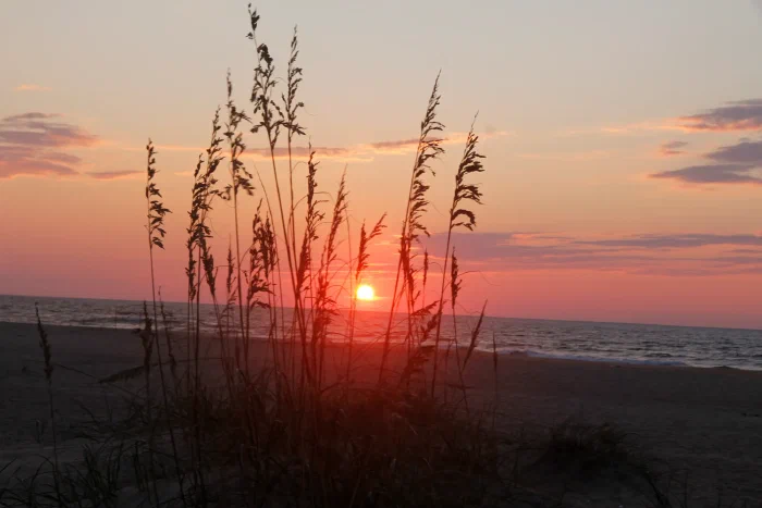 _MG_6108.webp