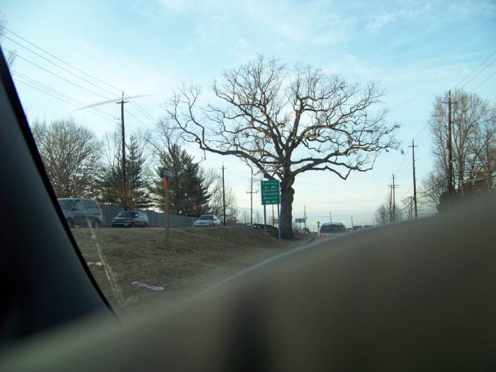 100_5164.jpg