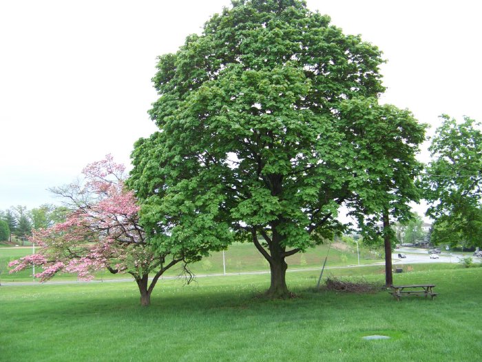100_6331.jpg
