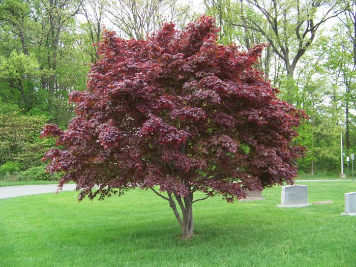 100_6363.jpg