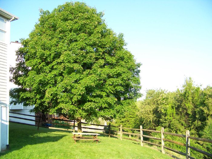 100_6755.jpg