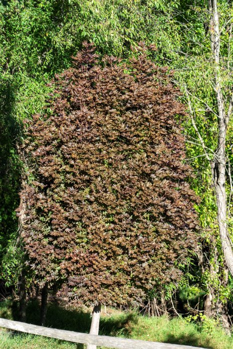 HUR00112.jpg