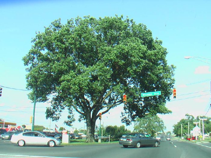 IMGA0435.jpg