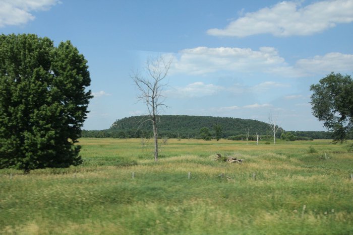 IMG_4050.jpg