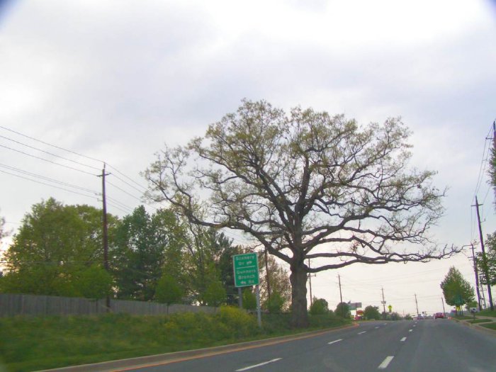 PICT4724.jpg
