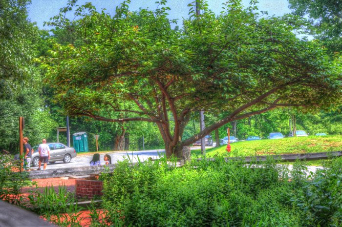 Seneca Creek 5-28-12 (37).jpg