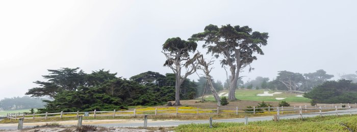 _MG_5860-Pano.jpg