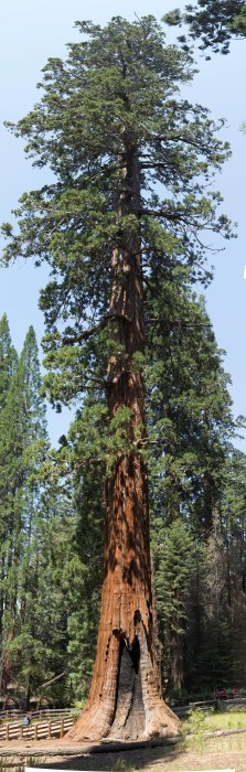 _MG_7269-Pano.jpg