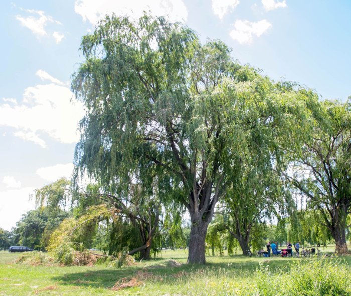 belle isle 2.jpg