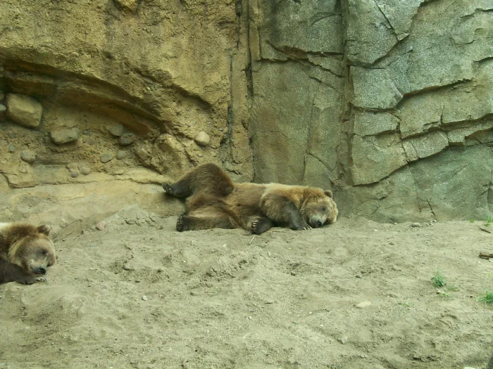100_0938.webp