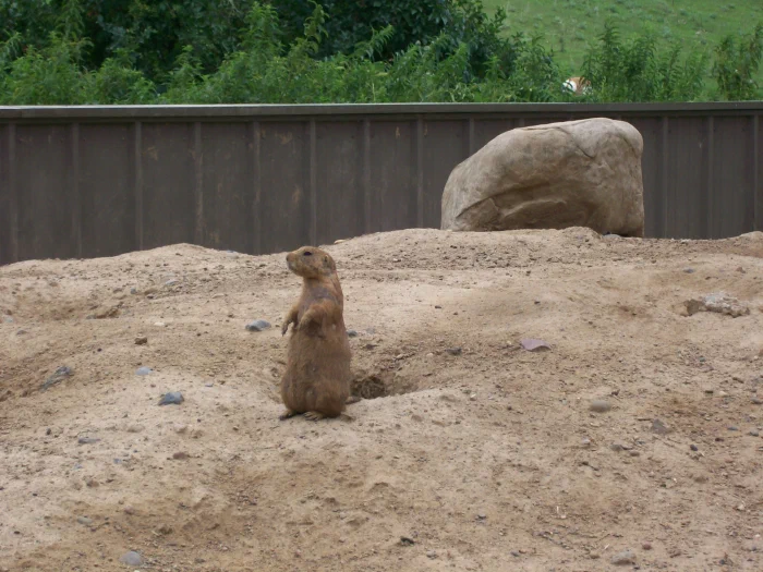 100_0944.webp