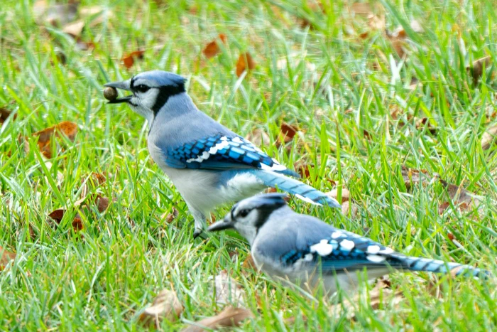 AR503531.webp