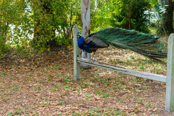 AR504370.webp