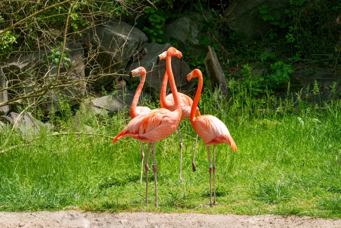AR504488.webp