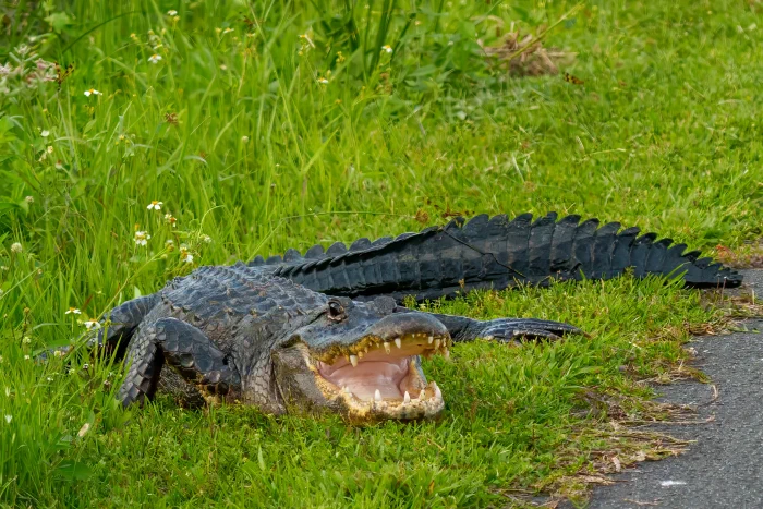 AR505065-Edit+1.webp
