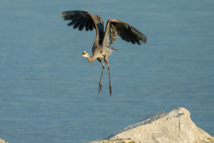 AR505539.webp