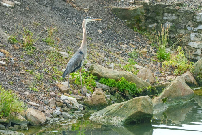 AR505594.webp