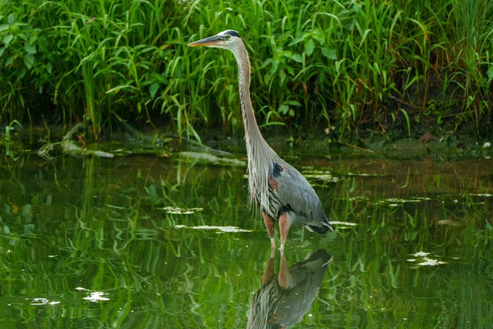 AR505632.webp