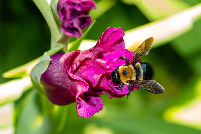 AR506123.webp