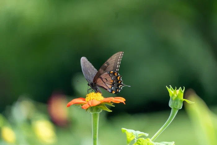 AR506538.webp