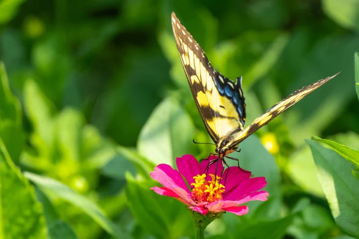 AR506774.webp