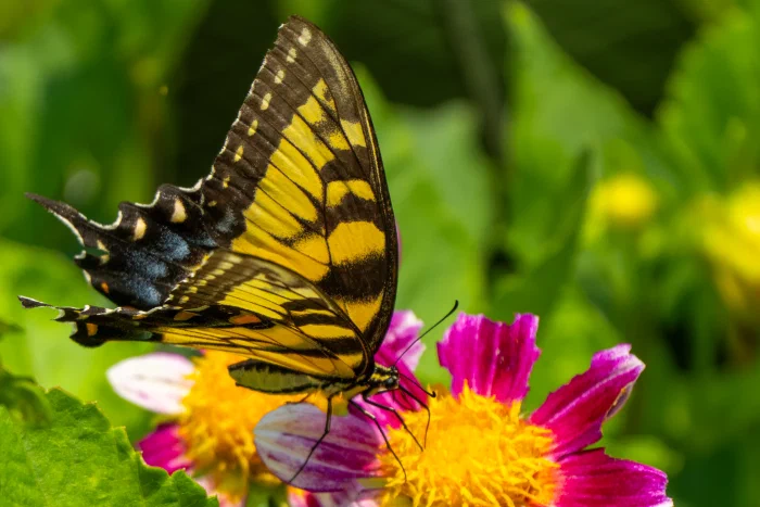 AR506779.webp