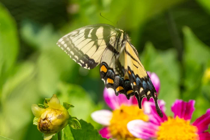 AR506789.webp