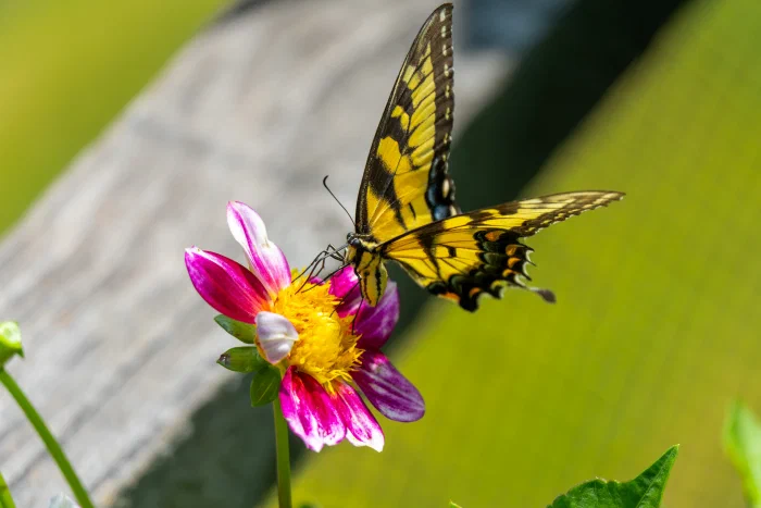 AR506831.webp