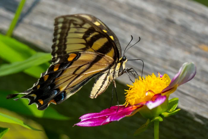 AR506838.webp