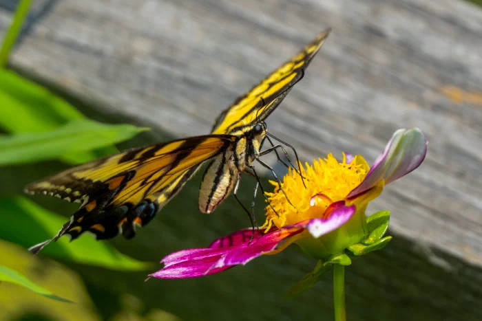 AR506845.webp