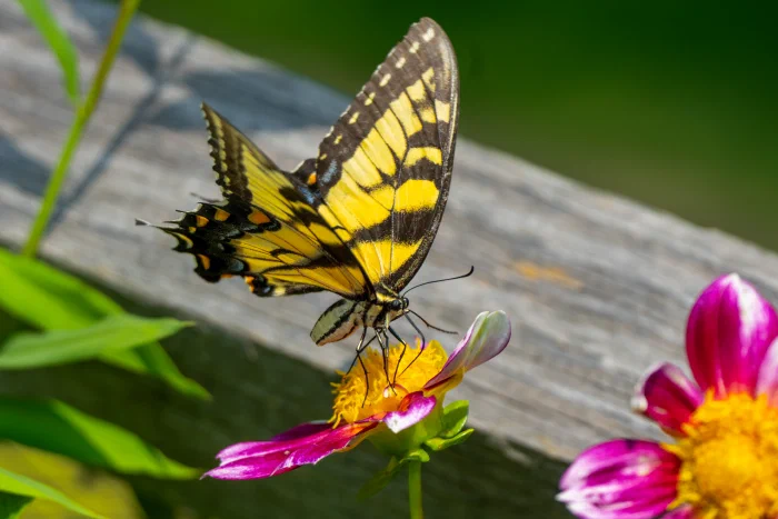 AR506854.webp