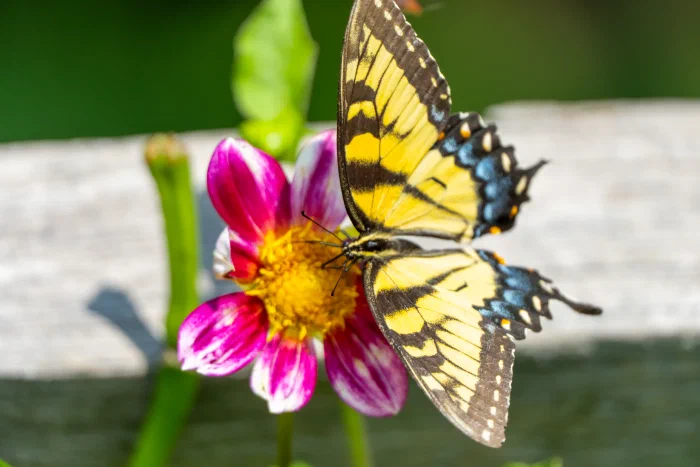 AR506859.webp
