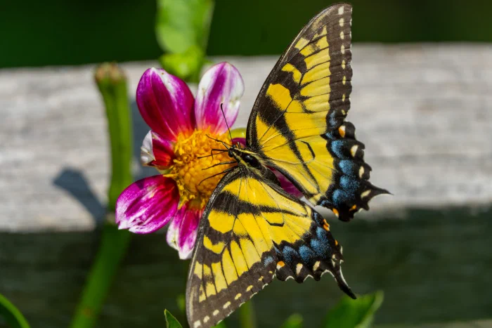AR506860.webp